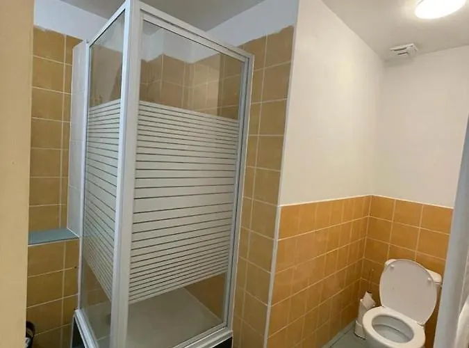 Sofieflat - Wallifolie * Charleroi